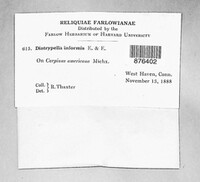Image Associated With the Occurence